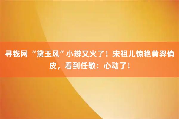 寻钱网 “黛玉风”小辫又火了！宋祖儿惊艳黄羿俏皮，看到任敏：心动了！