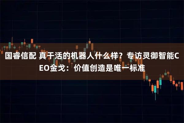 国睿信配 真干活的机器人什么样？专访灵御智能CEO金戈：价值创造是唯一标准
