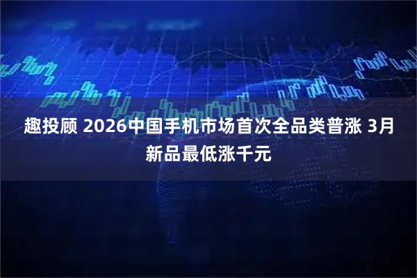 趣投顾 2026中国手机市场首次全品类普涨 3月新品最低涨千元